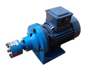 Pump Without Inbuilt Relief Valve and Flange Mounted Motor